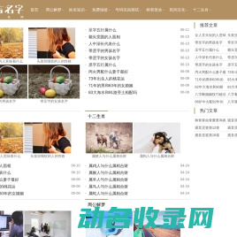 免费起名